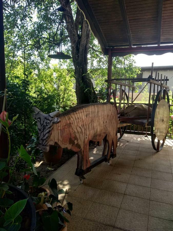 Ti Kaz En Bois Vila Sainte-Rose Exterior foto